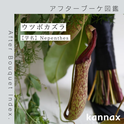 記事のサムネイル