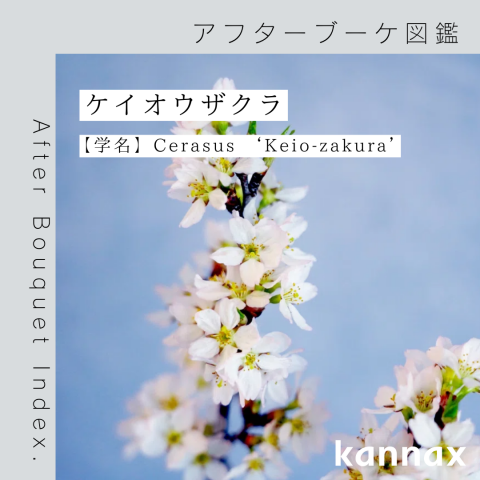 記事のサムネイル