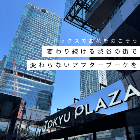 記事のサムネイル