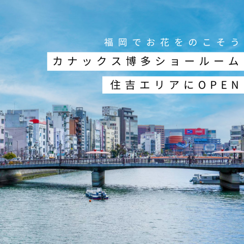 記事のサムネイル