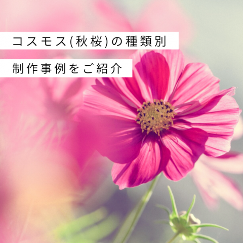記事のサムネイル